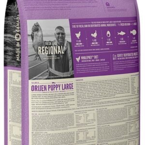 Sucha Karma dla Szczeniąt, duży krokiet orijen puppy large breed