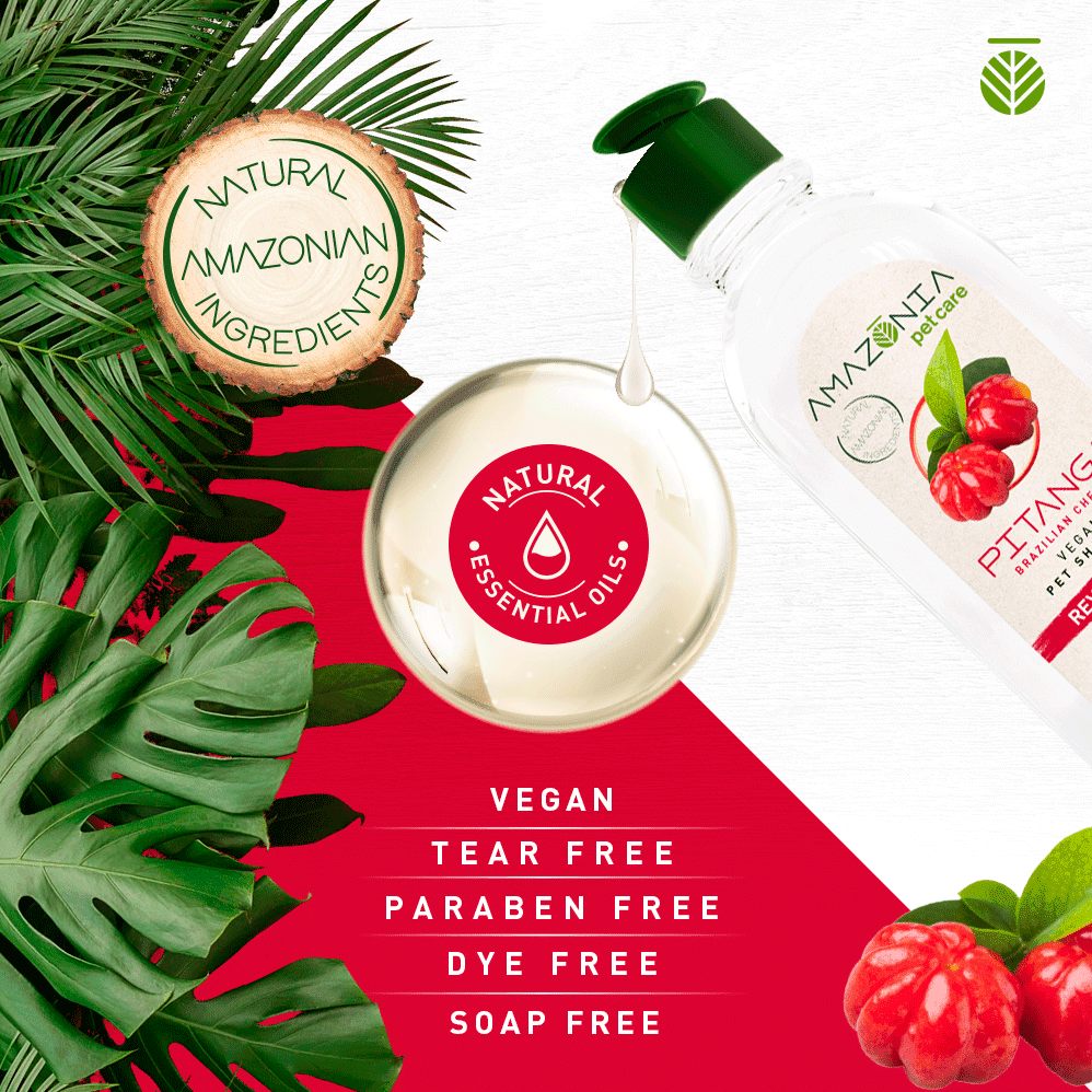 Wegańska formuła szamponu Pitanga "bez łez", nie zawierająca parabenów i barwników.