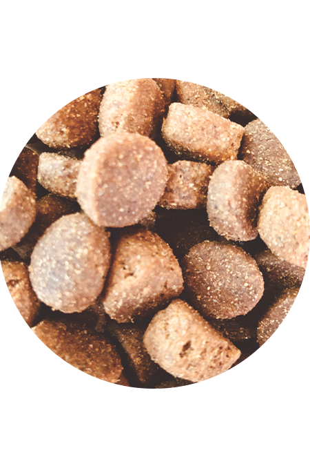 Krokiet karmy suchej dla psów Nero Gold Adult. Krokiet karmy suchej dla psów Nero Gold Adult.