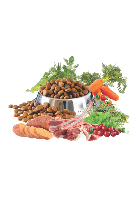 Sucha Karma Nero Pure Fresh Salmon zawiera 35% owoców i warzyw. Sucha Karma Nero Pure Fresh Salmon zawiera 35% owoców i warzyw.