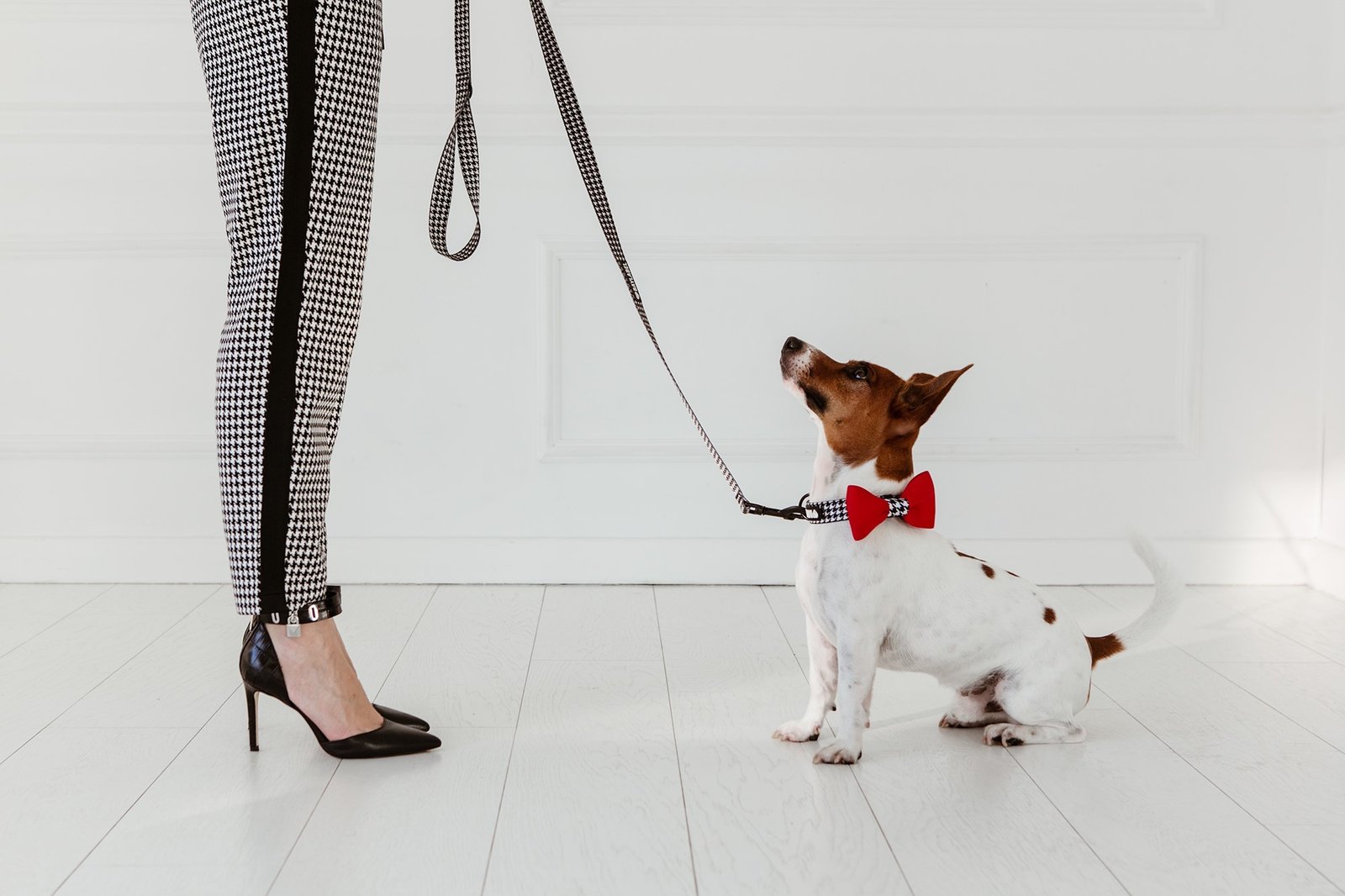 Black`n&White Smycz Przepinana dla Psa Black`n&White Smycz Przepinana dla Psa