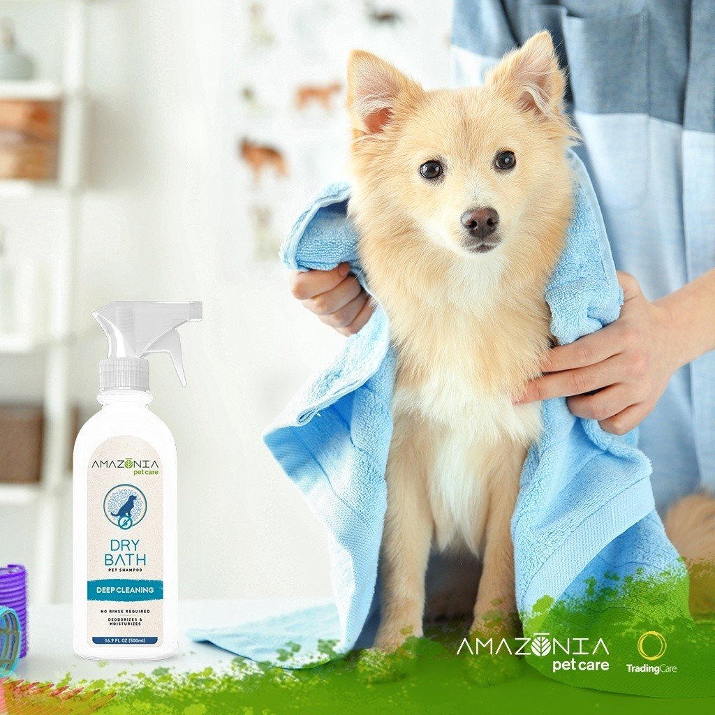 Pies po suchej kąpieli w szamponie Amazonia Pet Care Dry Bath. Pies po suchej kąpieli w szamponie Amazonia Pet Care Dry Bath.