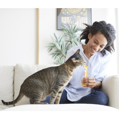 Inaba Creamy Churu Treat 4x14g - kremowy przysmak dla kota, kurczak